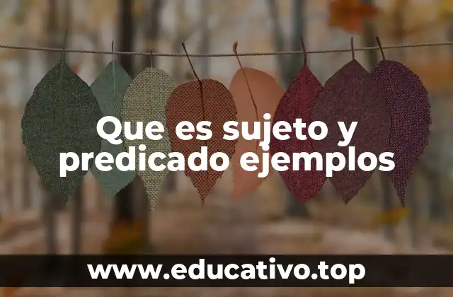 Componentes esenciales de una oración