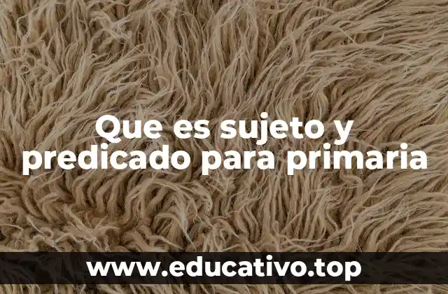 Que es sujeto y predicado para primaria
