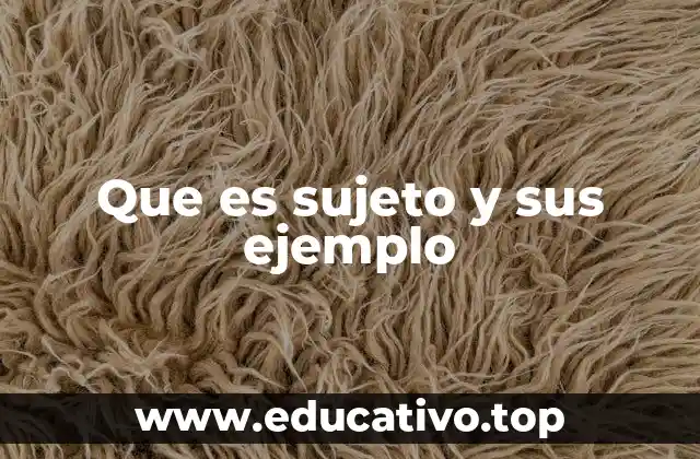 Que es sujeto y sus ejemplo