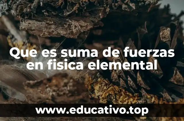 Que es suma de fuerzas en fisica elemental