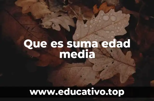 Que es suma edad media