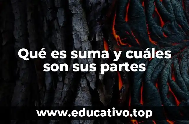 La importancia de entender los componentes de una suma