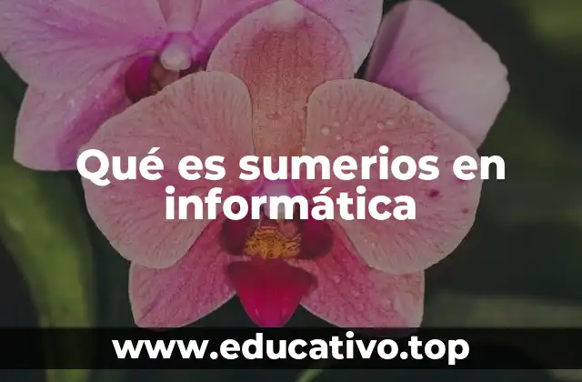Qué es sumerios en informática