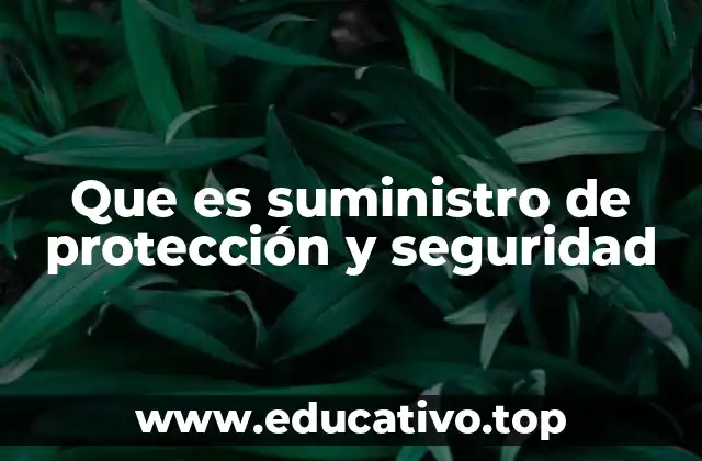 Que es suministro de protección y seguridad