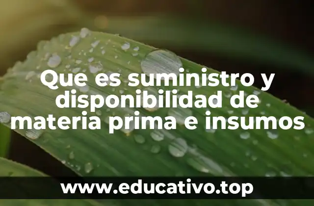 Que es suministro y disponibilidad de materia prima e insumos