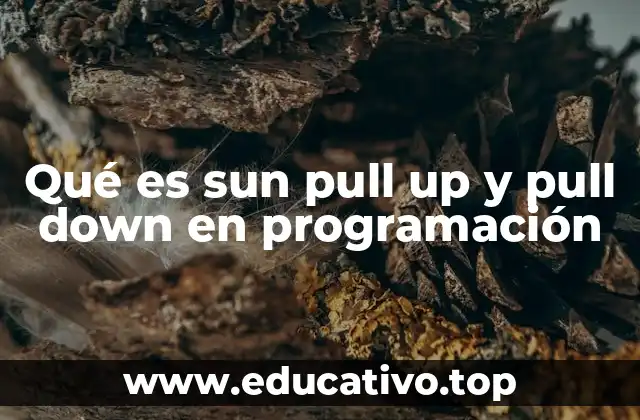 Qué es sun pull up y pull down en programación