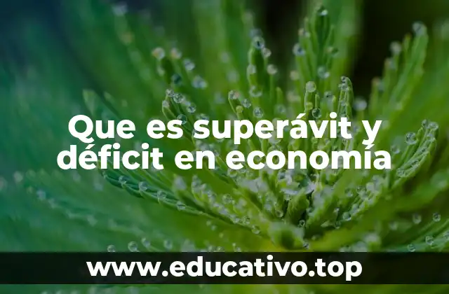 Que es superávit y déficit en economía