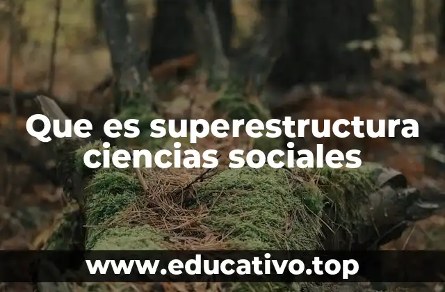 Que es superestructura ciencias sociales