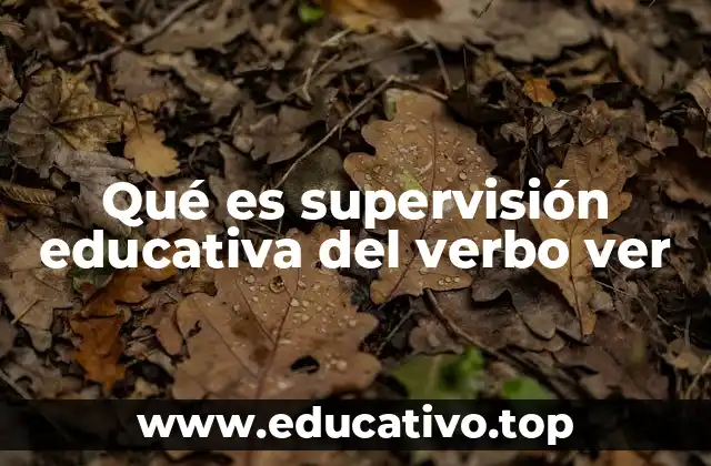 Qué es supervisión educativa del verbo ver