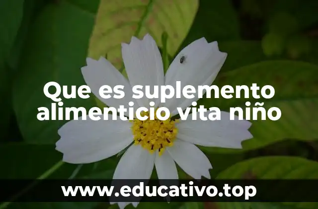 Que es suplemento alimenticio vita niño