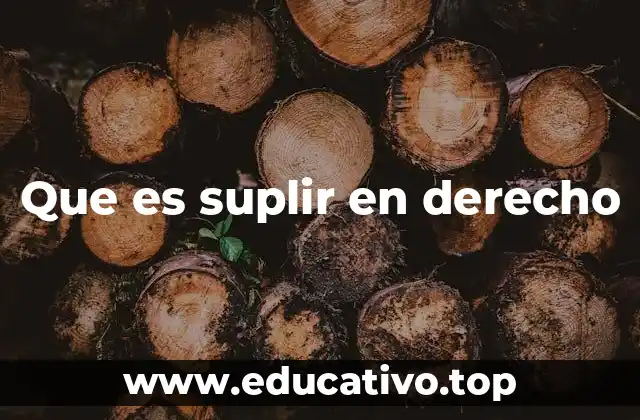 Suplencia en el marco legal y su importancia