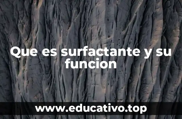 Que es surfactante y su funcion