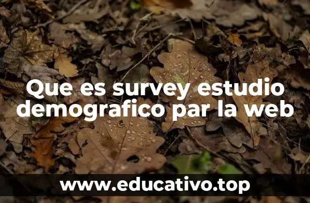 Que es survey estudio demografico par la web
