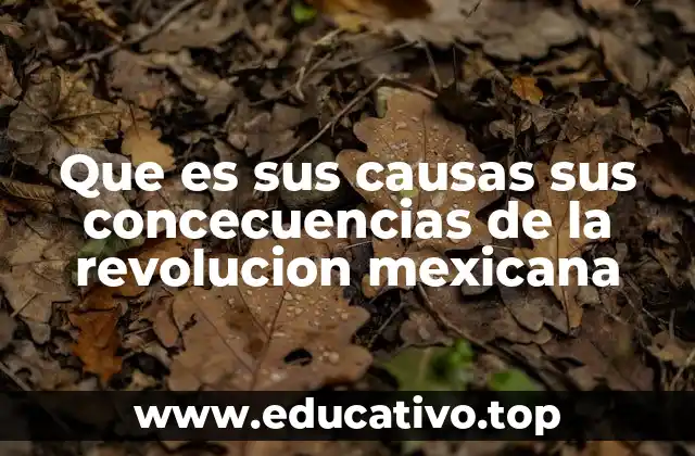 El contexto social y político previo a la Revolución Mexicana