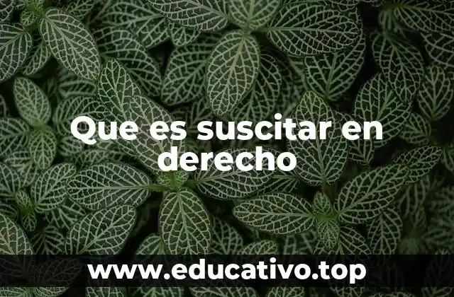 Que es suscitar en derecho