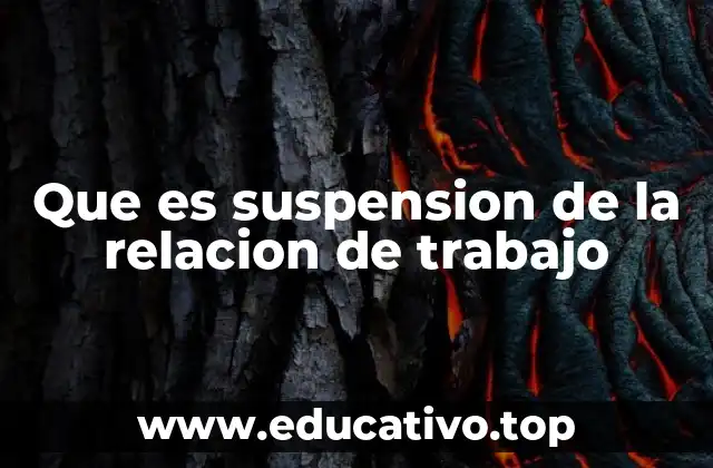 Que es suspension de la relacion de trabajo