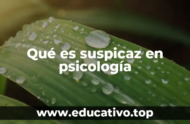 Qué es suspicaz en psicología