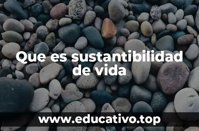 La importancia de un enfoque integral para la vida en el planeta