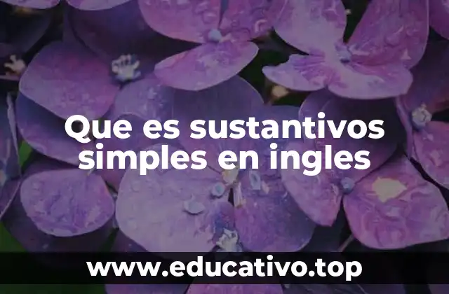 Que es sustantivos simples en ingles