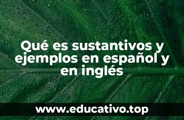Qué es sustantivos y ejemplos en español y en inglés