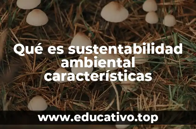 Qué es sustentabilidad ambiental características