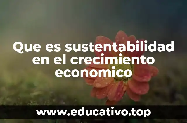 Que es sustentabilidad en el crecimiento economico