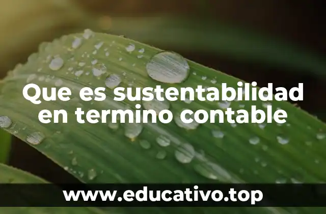 Que es sustentabilidad en termino contable