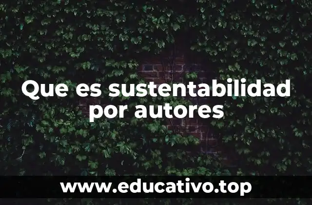 Que es sustentabilidad por autores