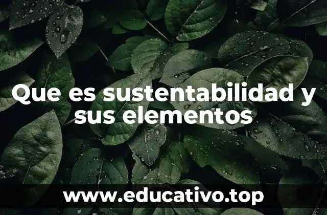 Que es sustentabilidad y sus elementos