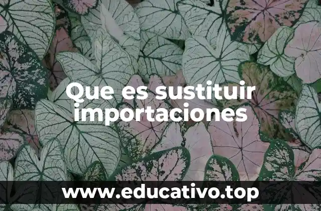 Que es sustituir importaciones