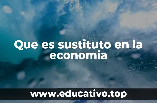 Que es sustituto en la economia
