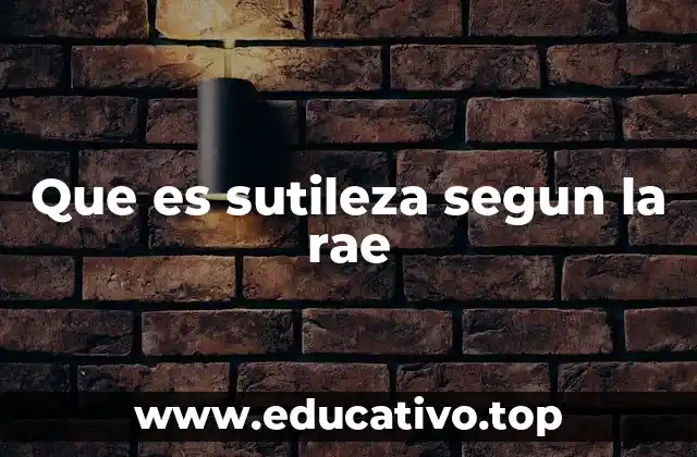 Que es sutileza segun la rae