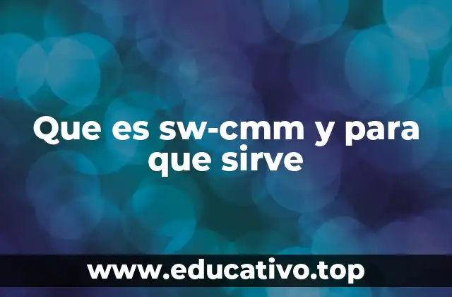Que es sw-cmm y para que sirve