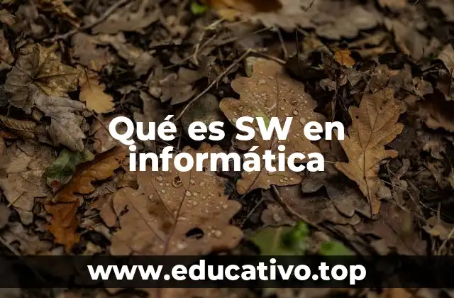 Qué es SW en informática