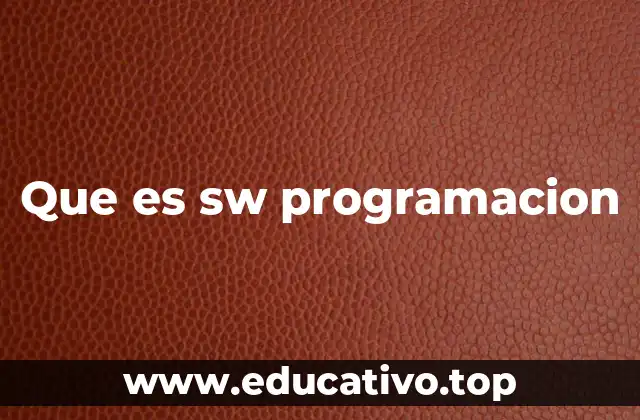 Que es sw programacion