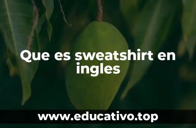¿Qué diferencias hay entre un sweatshirt y otras prendas similares?