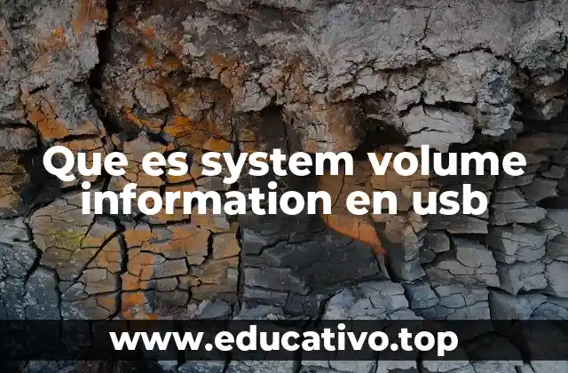 Que es system volume information en usb