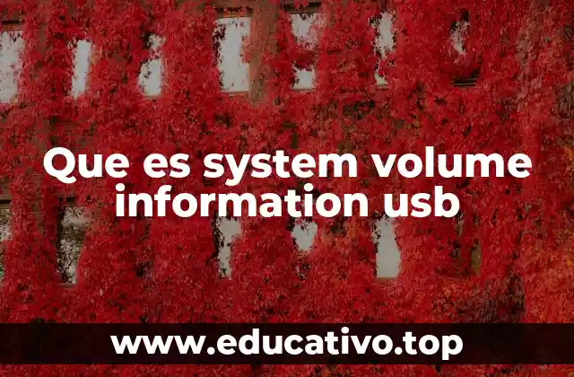 Que es system volume information usb