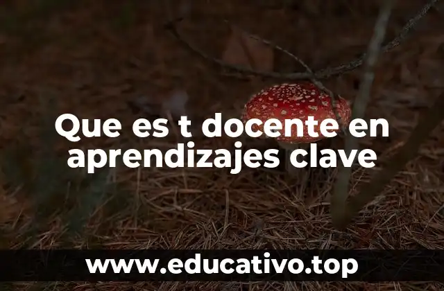 Que es t docente en aprendizajes clave