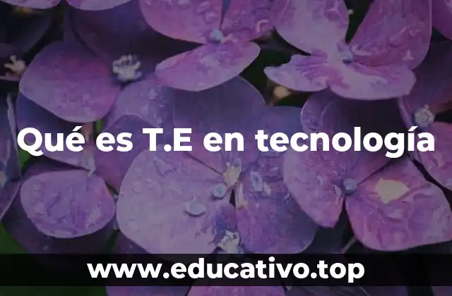 Qué es T.E en tecnología