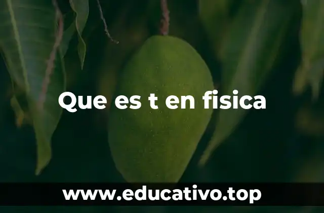 Que es t en fisica