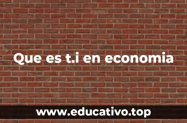 Que es t.i en economia