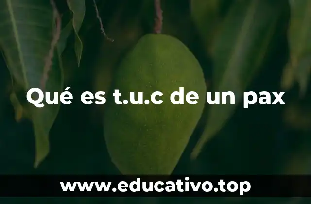Qué es t.u.c de un pax