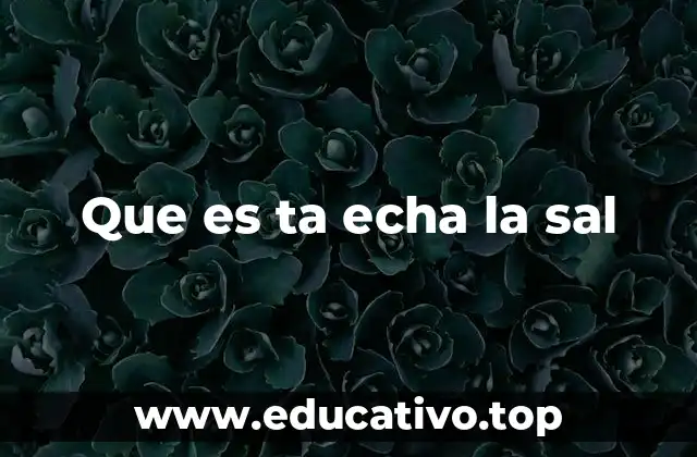 Que es ta echa la sal