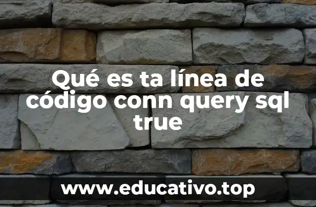 Qué es ta línea de código conn query sql true
