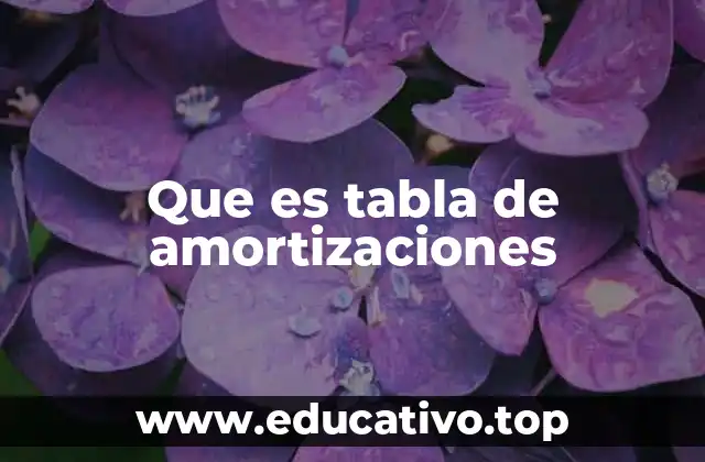 Que es tabla de amortizaciones