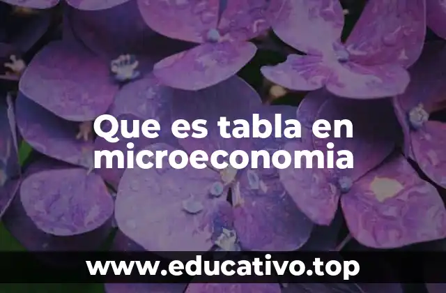 Que es tabla en microeconomia