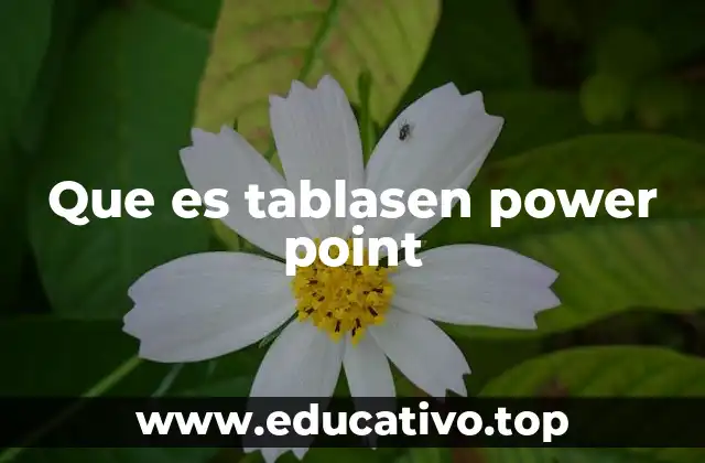 Que es tablasen power point