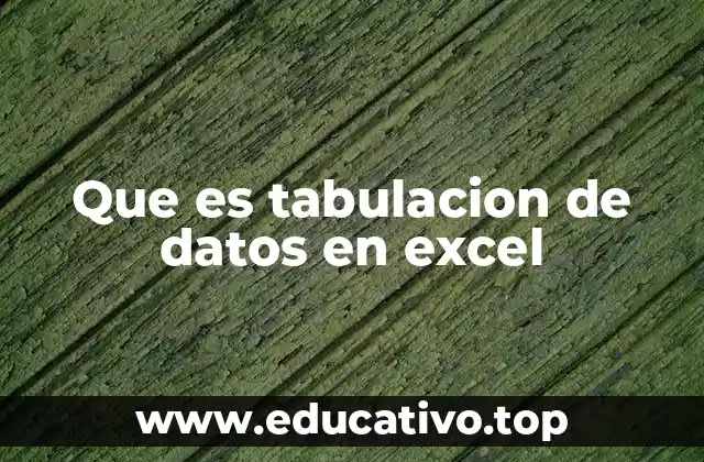 Que es tabulacion de datos en excel