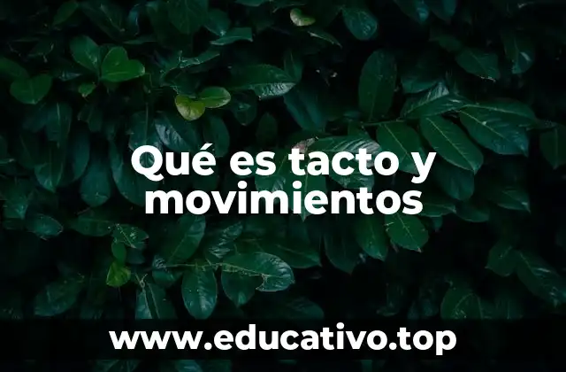 Qué es tacto y movimientos